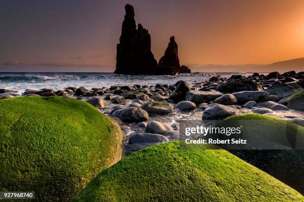 rock formation ribeira de janela at sunrise with mossy stones on the beach, porto moniz, madeira, portugal - janela ストックフォトと画像