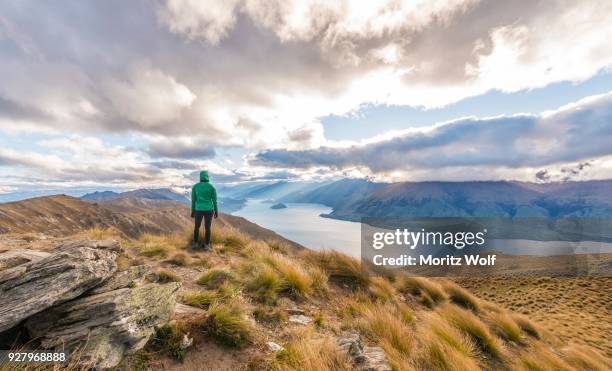female hiker woman looking at lake, lake hawea and mountain landscape, isthmus peak, otago, south island, new zealand - hawea stock-fotos und bilder