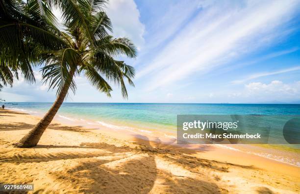 mae nam beach, ko samui, chang wat surat thani, thailand - marc schmerbeck stock-fotos und bilder