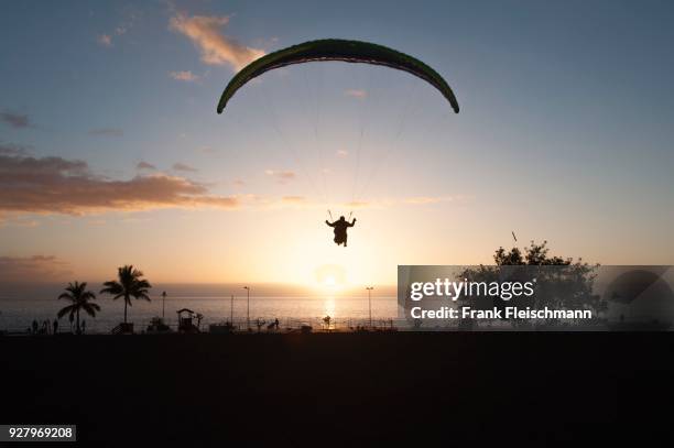 paraglider on the beach of puerto naos, sunset, canary islands, la palma, spain - puerto naos stock pictures, royalty-free photos & images