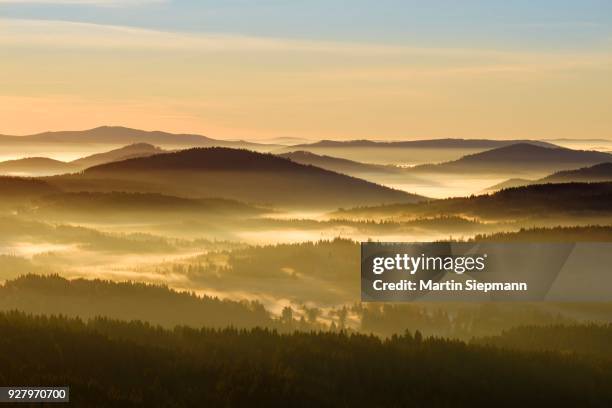 morning fog in sumava national park in czech republic, sumava, view from siebensteinkopf, near finsterau, bavarian forest, lower bavaria, bavaria, germany - sumava stock pictures, royalty-free photos & images