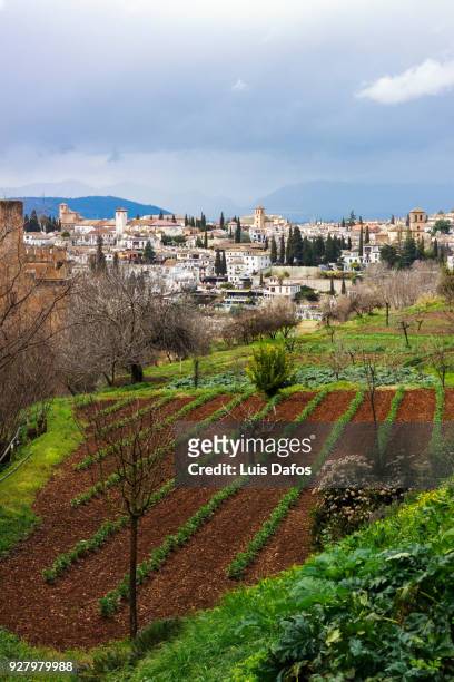 albaicin general view with vegetable garden in foreground - albaicín stock pictures, royalty-free photos & images
