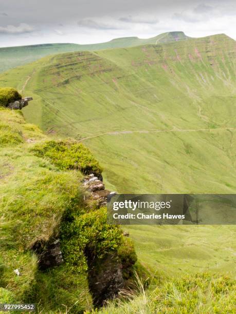 Cribyn Path 86 Cribyn Stock Photos, High-Res Pictures, and Images - Getty Images