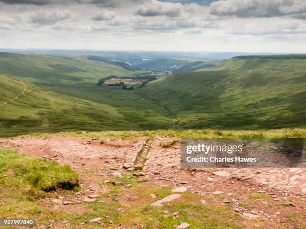 Cribyn Path 86 Cribyn Stock Photos, High-Res Pictures, and Images - Getty Images