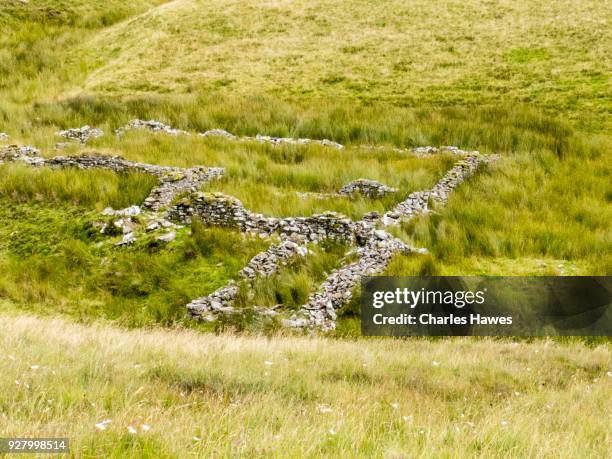 abandoned sheep folds near fforest fawr.the cambrian way, wales, uk - enclos à moutons photos et images de collection