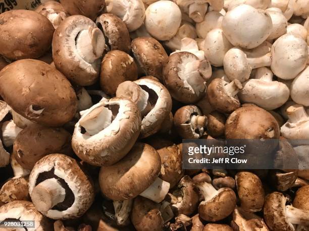 fresh mushrooms at the market - white mushroom photos et images de collection