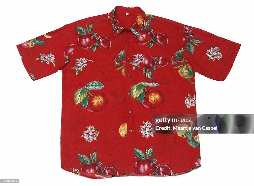 Camisa Hawaian