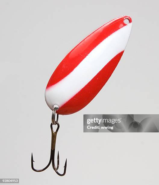 fishing lure close-up - zonnebaarzen stockfoto's en -beelden