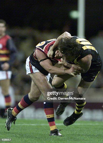 Nick Ricciuto 56 Nick Daffy Stock Photos, High-Res Pictures, and Images - Getty Images