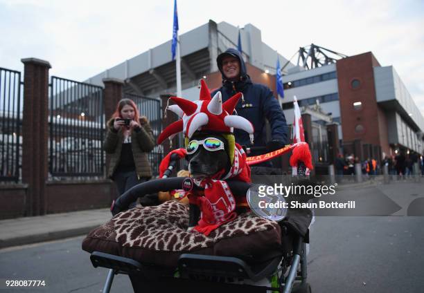 Dog arrives for the UEFA Champions League Round of 16 second leg match between Liverpool and FC Porto at Anfield on March 6, 2018 in Liverpool,...