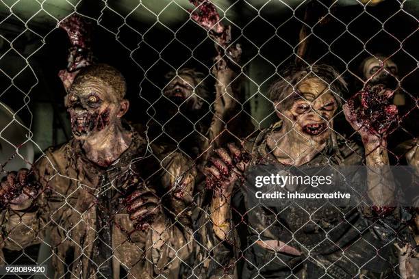 zombies achter een hek - zombie stockfoto's en -beelden