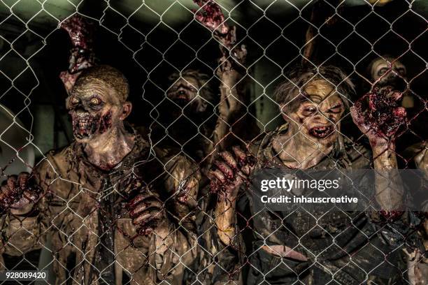 zombies behind a fence - zombie stock pictures, royalty-free photos & images