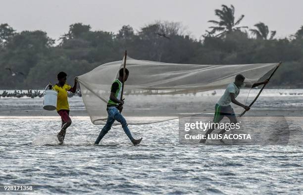 Fishermen fish shrimps at the Navio Quebrado lagoon in the village of Boca de Camarones, Guajira Department, northern Colombia, on March 1 2018....