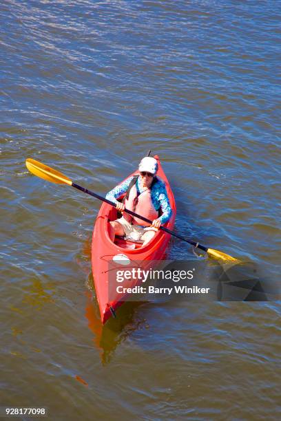 woman paddling kayak, seen from above - matlacha stock pictures, royalty-free photos & images