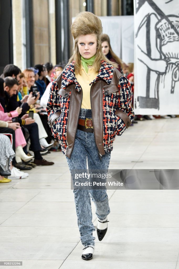 Miu Miu : Runway - Paris Fashion Week Womenswear Fall/Winter 2018/2019