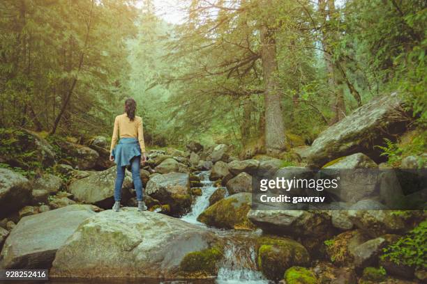 junge frau an der frischen luft in der nähe von stream im kiefer-dschungel. - behind waterfall stock-fotos und bilder