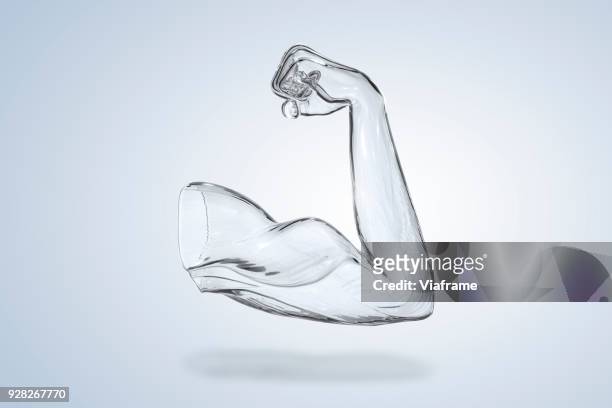 muscle arm. digitally generated - human arm stock-fotos und bilder