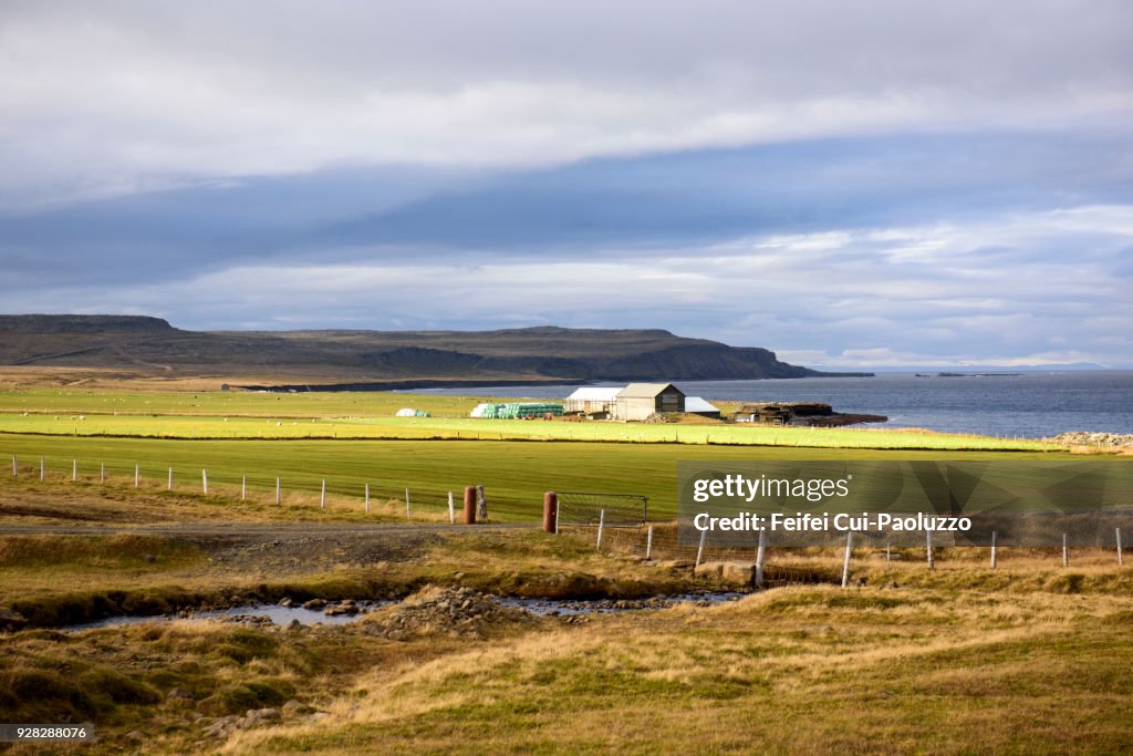 Farm at Skagi, North Iceland
