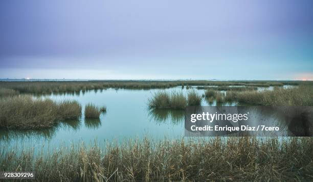 delta del ebro at dusk - estero zona húmeda fotografías e imágenes de stock