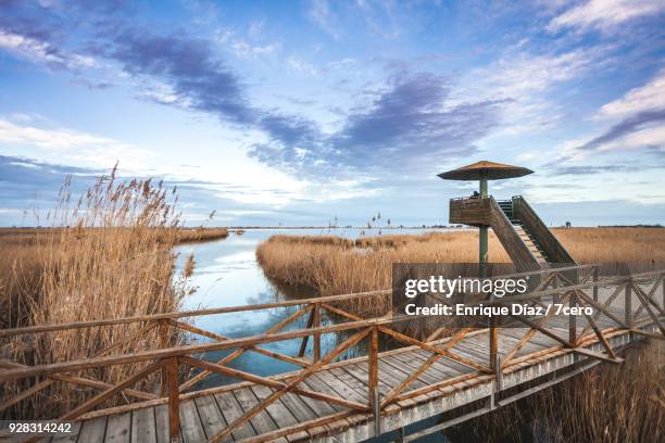 birdwatching tower at the ebro delta - ebro river - fotografias e filmes do acervo