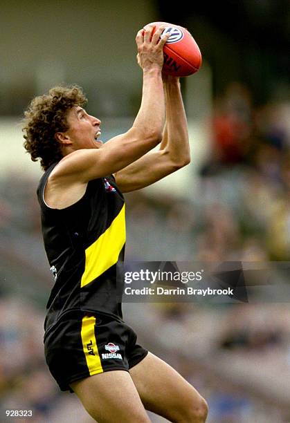 Darren Gaspar of Richmond, marks the ball, during the match between the Richmond Tigers and the Hawthorn Hawks, during round 14 of the AFL season,...