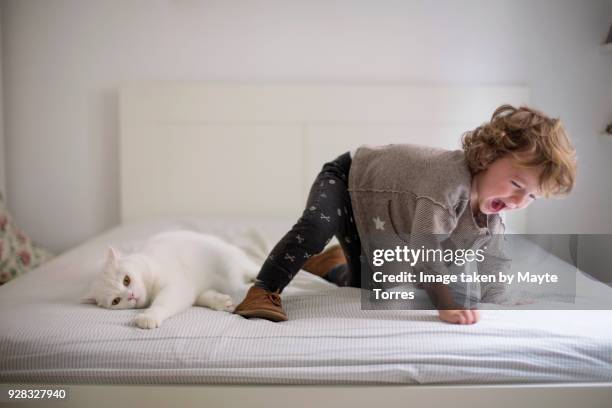 toddler messing around with the cat in parents bed - cats on the bed photos et images de collection