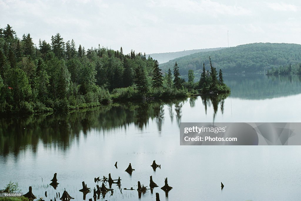 Forest by lake, Abitibi Temiscamingue, Quebec, Canada