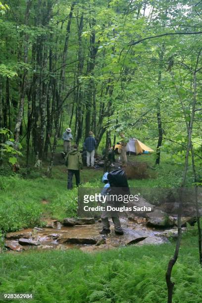 backpackers on the trail - monongahela national forest stock pictures, royalty-free photos & images