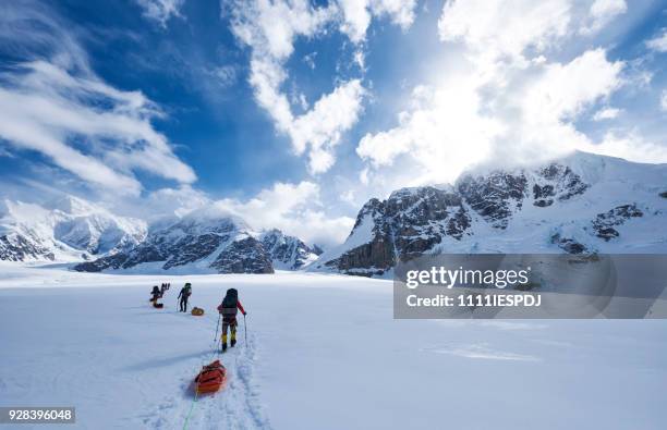 mountaineers climbing denali pulling a sled. - denali national park stock pictures, royalty-free photos & images