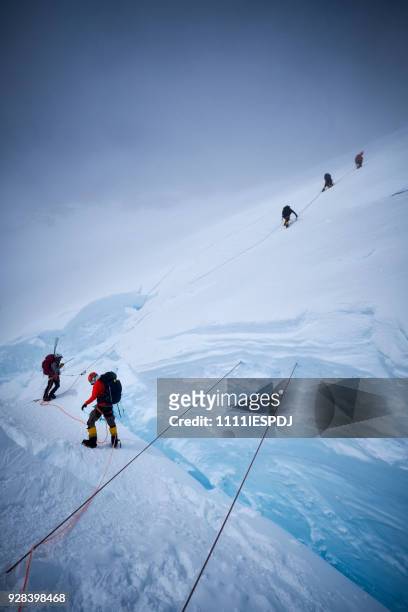 gli alpinisti salgono sul muro lungo le corde fisse su denali - denali national park foto e immagini stock