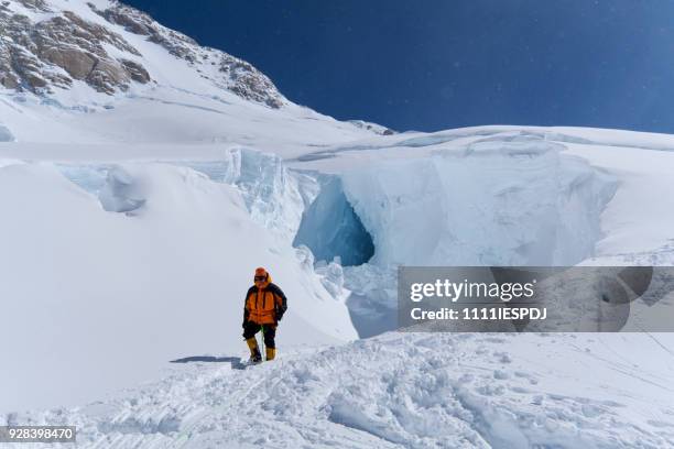 bergsteiger steigt auf denali. - 1111iespdj stock-fotos und bilder