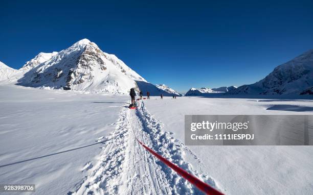 bergsteiger klettern denali zieht einen schlitten. - 1111iespdj stock-fotos und bilder