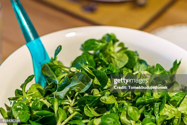 salad - butterhead lettuce stock pictures, royalty-free photos & images