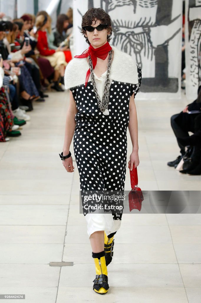 Miu Miu : Runway - Paris Fashion Week Womenswear Fall/Winter 2018/2019