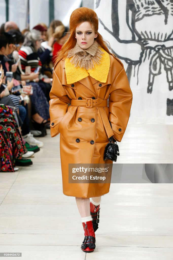 Miu Miu : Runway - Paris Fashion Week Womenswear Fall/Winter 2018/2019