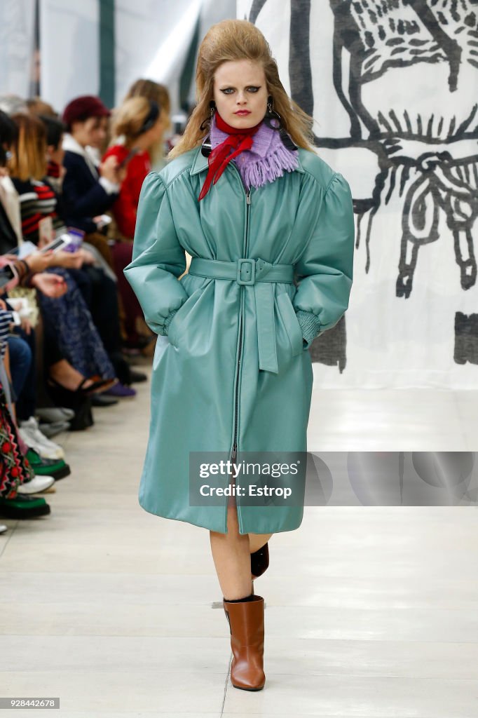 Miu Miu : Runway - Paris Fashion Week Womenswear Fall/Winter 2018/2019