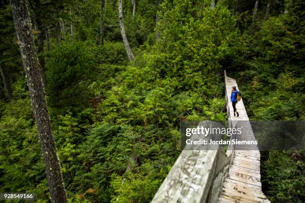 a young woman on a hike in the forest - tofino foto e immagini stock