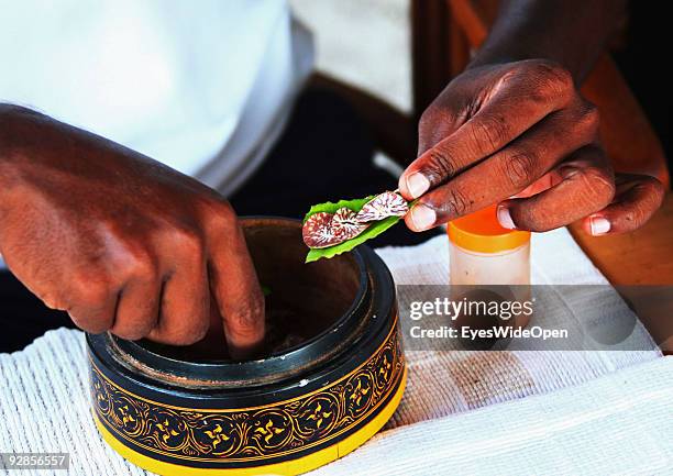 Man prepairs and eats a local speciality, the Areca-Nut on tobacco leaves on September 27, 2009 on Hitaddu Island, Maldives.Eating and chewing of...