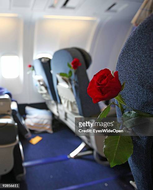 Red Roses in the Business Class of a Condor passengerjet at departure and arrival at Male International Airport on September 27, 2009 in Male,...