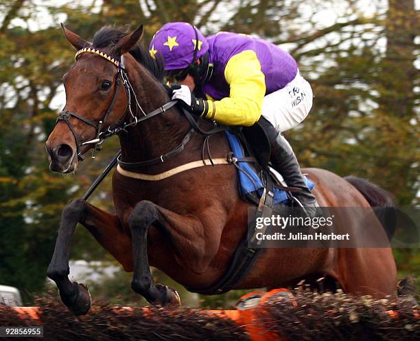 Peter Toole and Dot's Delight clear the last flight to go on and win the John Smith's Conditional Jockeys Novices Hurdle Race run at Fontwell...