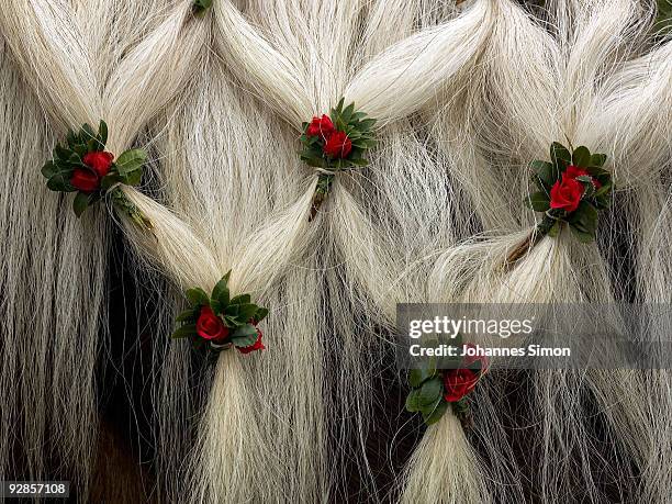 Horse decorated with artificial flowers is pictured during the so called Leonhardi Ride, a horse pilgrimage in honor of Saint Leonard de Noblac, on...