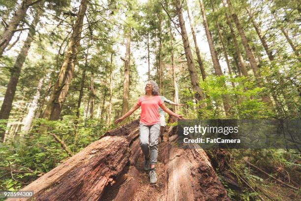 senior couple on a day hike in the forest - man walking towards camera on white stock pictures, royalty-free photos & images