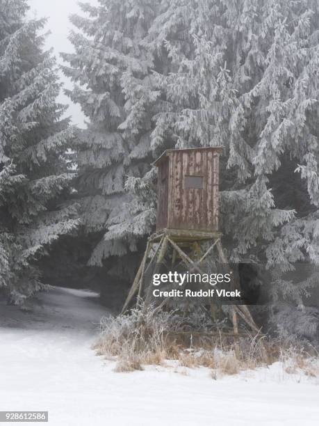 rural misty winter scene with frost covered lookout tower - czech republic mountains stock pictures, royalty-free photos & images