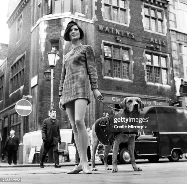 Model, Nicky Smith, with Mod Dog Dusonofenhark the Labrador, taking a walk down Carnaby Street, London, 28th February 1967.