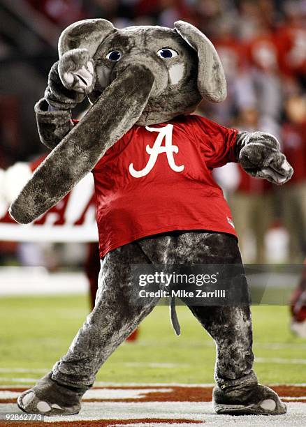 Alabama Crimson Tide mascot Big Al cheers on the field before the game against the South Carolina Gamecocks at Bryant-Denny Stadium in Tuscaloosa,...