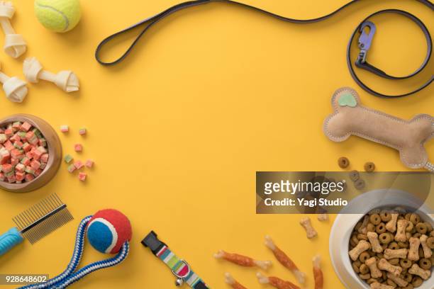 dog accessories knolling style on yellow background. - pet equipment stock-fotos und bilder