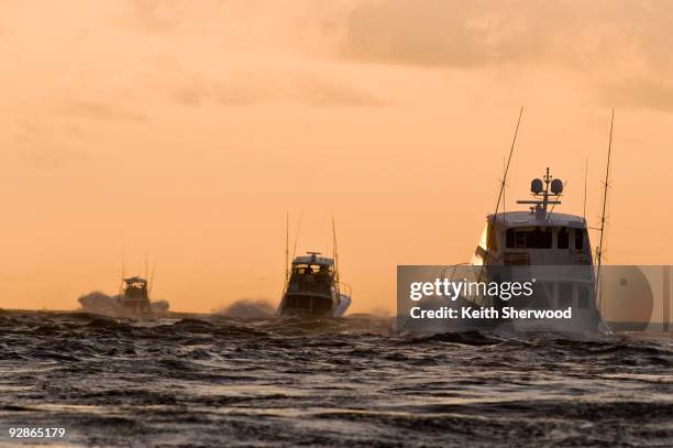 ocean city sport fishing boats - ocean city maryland stock-fotos und bilder