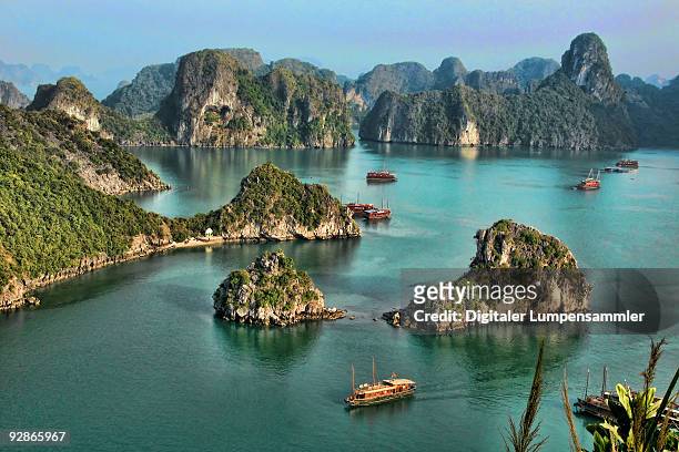 halong bay - vietnam stock pictures, royalty-free photos & images