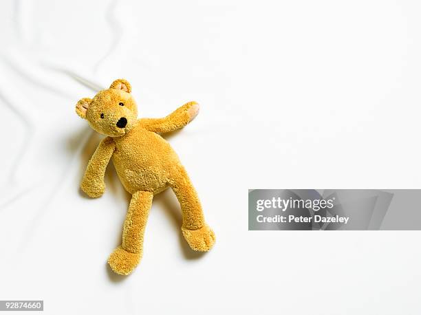 teddy bear on white background. - bear lying down stock pictures, royalty-free photos & images