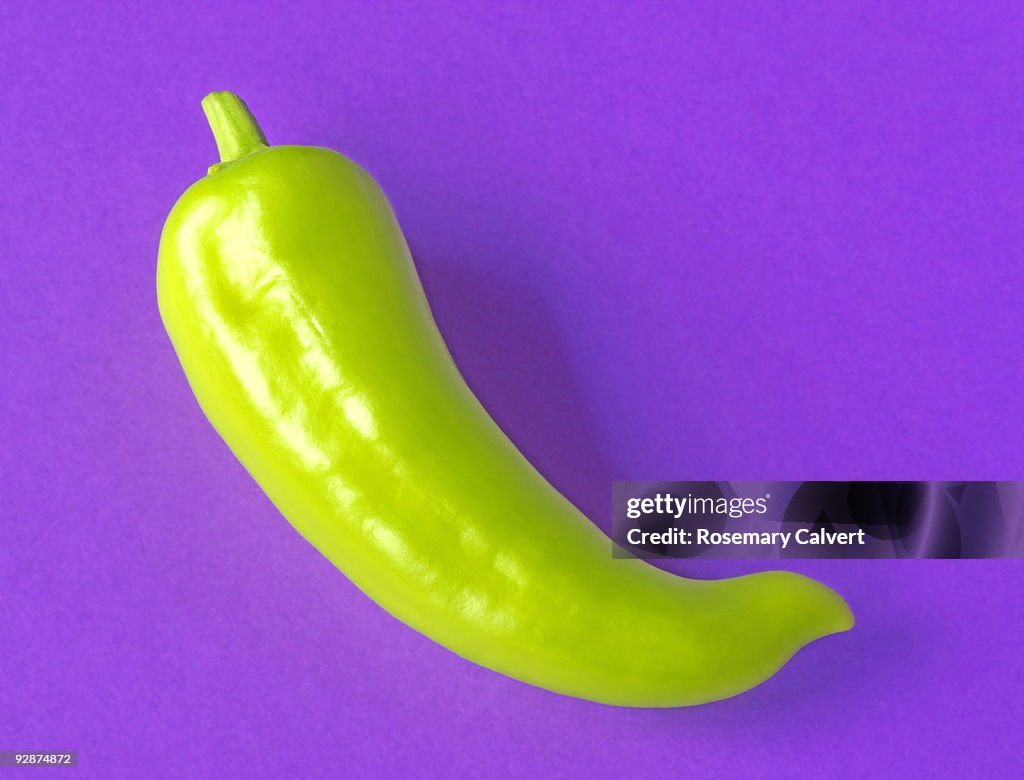 Green chilli pepper on purple background.